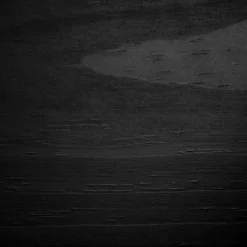 Twin Fakto Solid Wood Bunk Beds Matte Black - South Shore 6 Twin Fakto Solid Wood Bunk Beds Matte Black - South Shore -Children'S Home Furnishings Store GUEST 434e89c4 0424 4882 803c 016cb10613e9