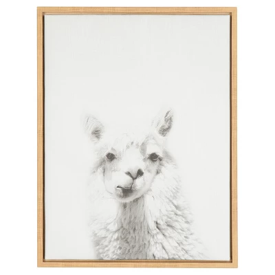 24" x 18" Alpaca Framed Canvas Art - Uniek 24" X 18" Alpaca Framed Canvas Art - Uniek -Children'S Home Furnishings Store GUEST 9a331e51 9281 4325 8cea 88dbff3641c6