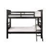 Justin Twin Over Twin Bunk Bed - Powell -Children'S Home Furnishings Store GUEST bfd1ede8 a1cc 4f35 bda4 68ebf7788472